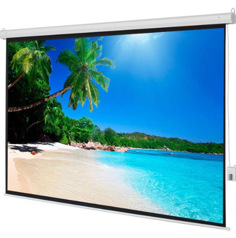 Motorized Projector Screen